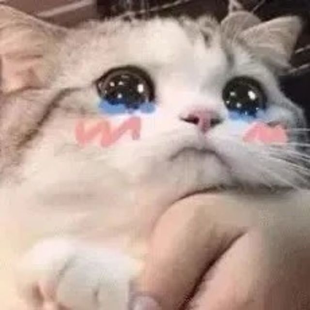 575479 wō哭了誰會心疼