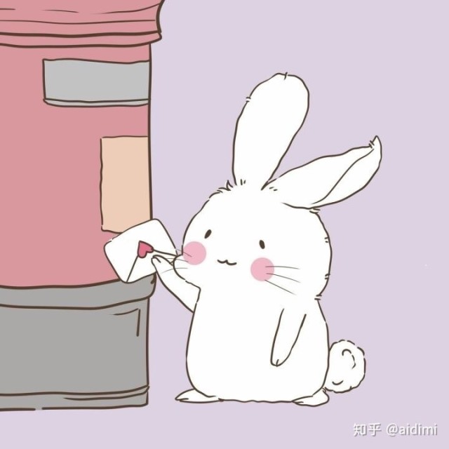 575988 皮皮兔