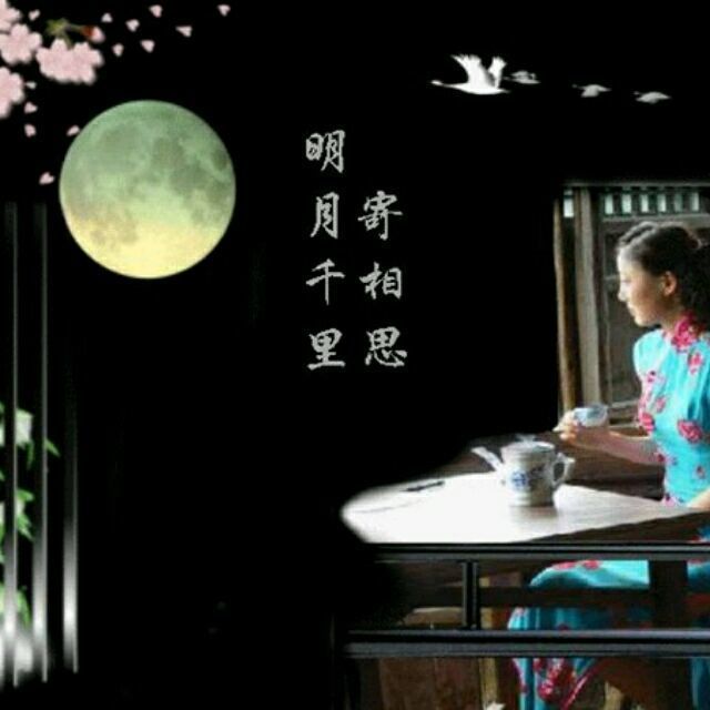 576127 缘来是你