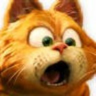 576498 fatcat
