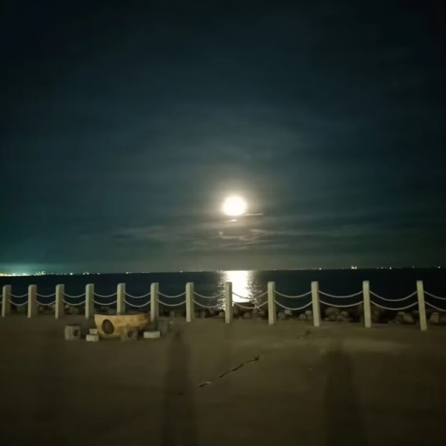 576692 逢场作戏