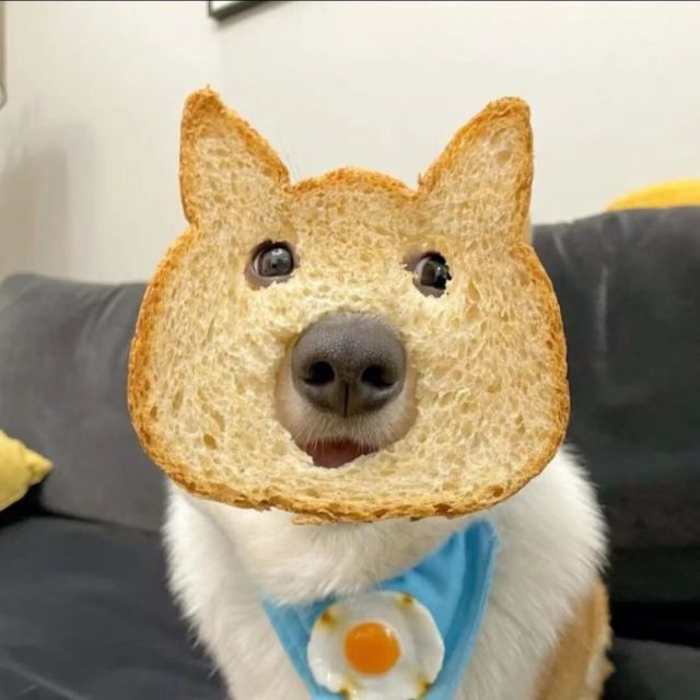576694 喔佳腿子哥