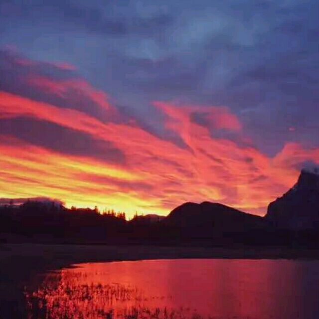 581808 寂寞花火