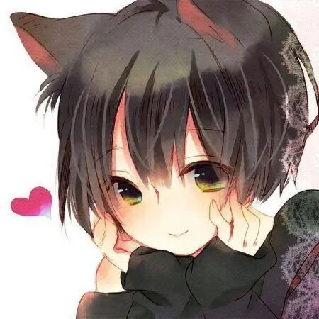 582168 蒲公英