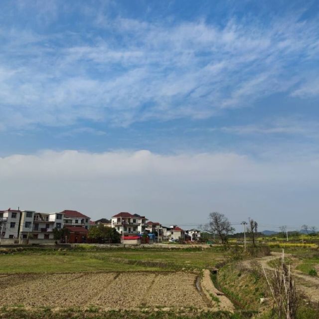 582423 @Vincent--大付
