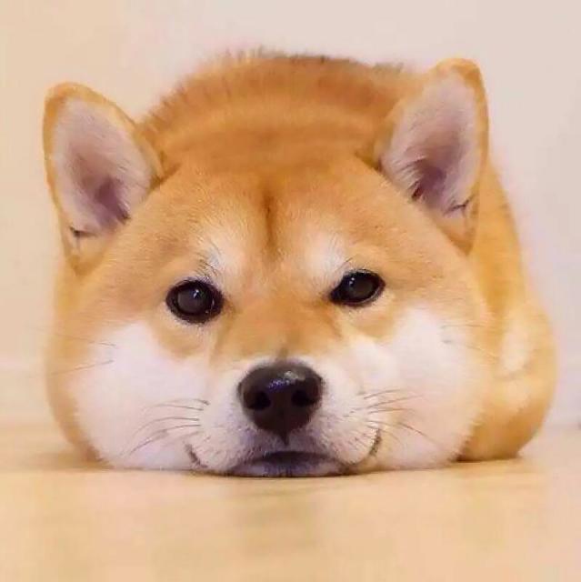 604220 苟利国家生死以