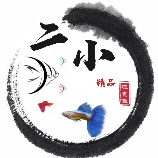 604823 仩芐袏祐↑靉|