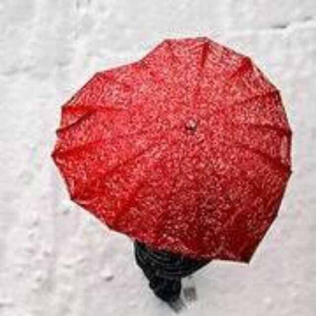 605246 ☂ 村長。。。