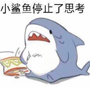 605577 上南电气