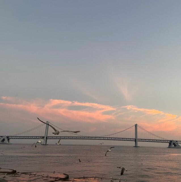 615647  爱上天使