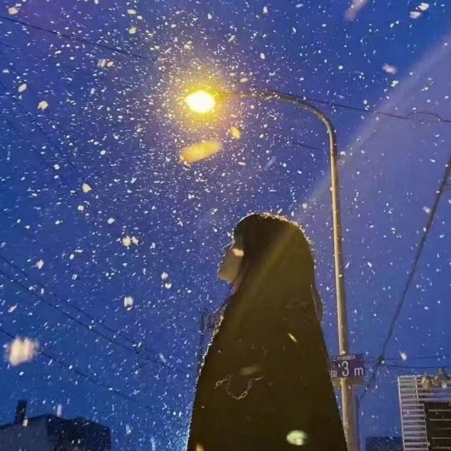 616523 海豚公主