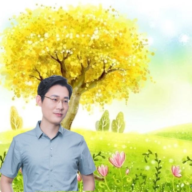 617211 舞叶秋枫