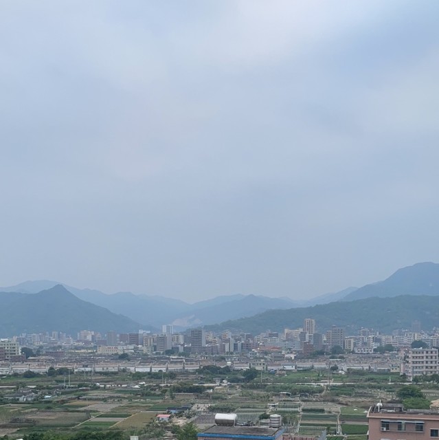 617477 阿宏