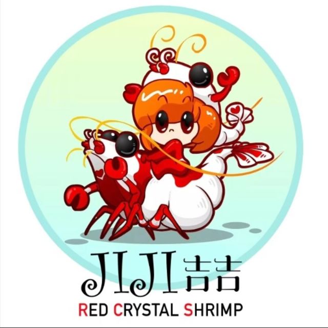 617598 ︶﹌⋛钊志他爹⋌⋚﹌︶