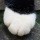 617756 一根猫二号机