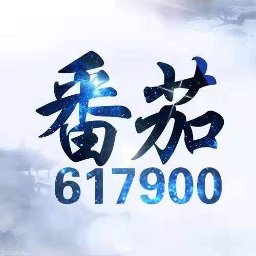 617900 617900
