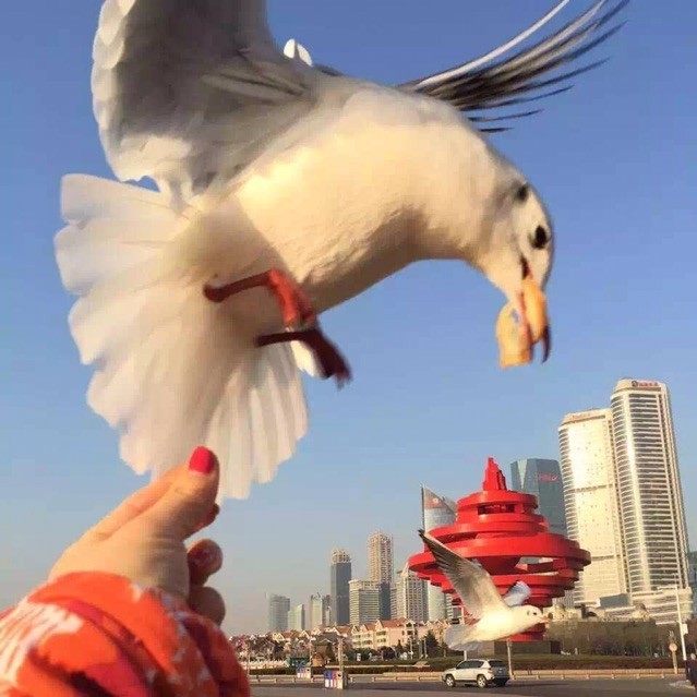 617933 输入法