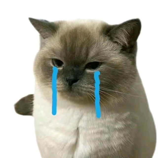 618018 猫儿掉了.