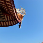 618054 沈阳咪咪眼