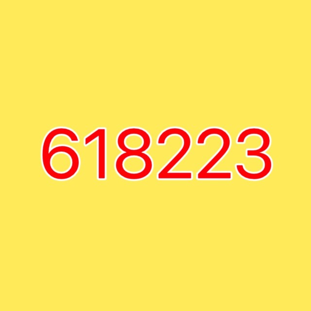 618223 Mr航航