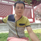 618776 侬本清逸