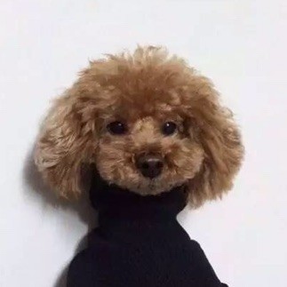 618862 黑眼晴