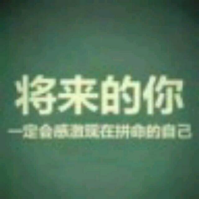 619892 楼外柳