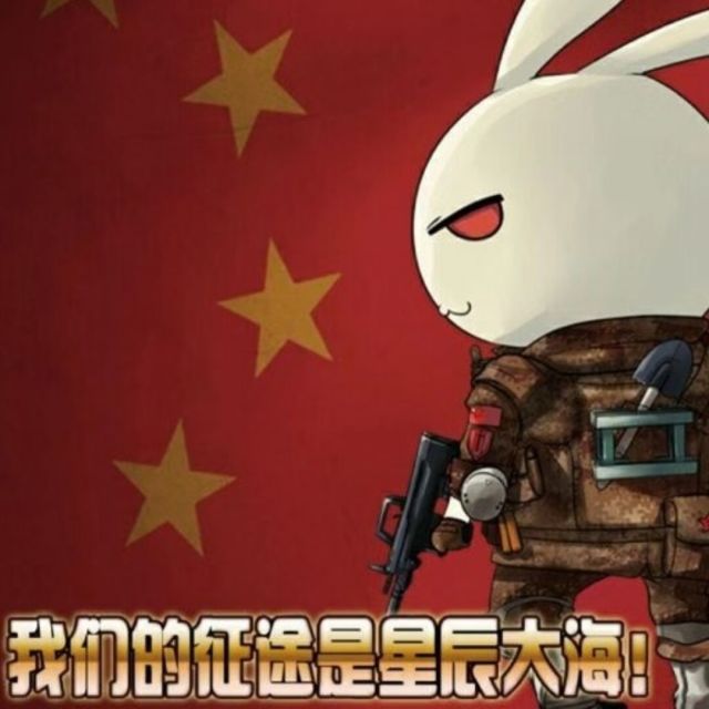 619926 自游的不游