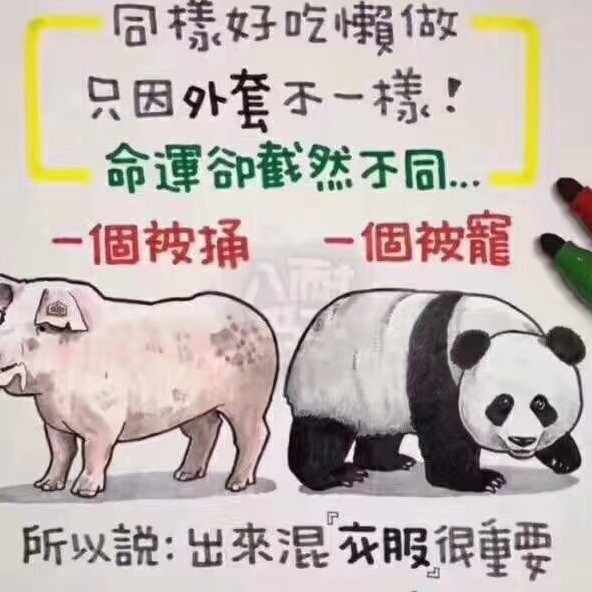 620223 苹果苹果