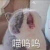 QQ头像