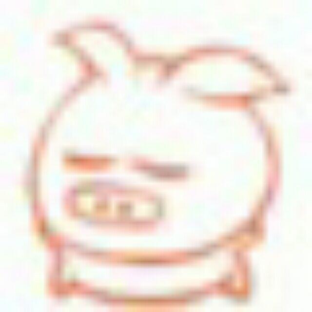 635187 飞翔的猪