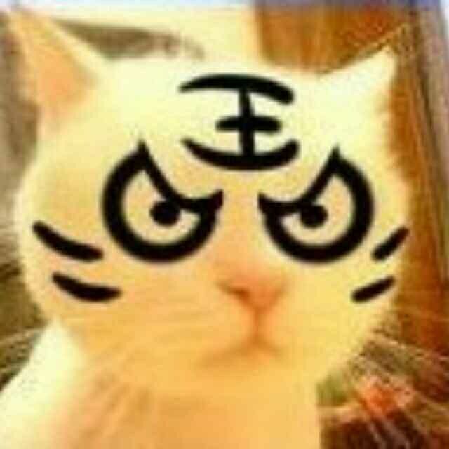 635216 大漠头狼