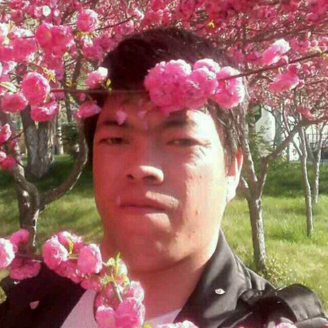 635844384 下个舂暖花开