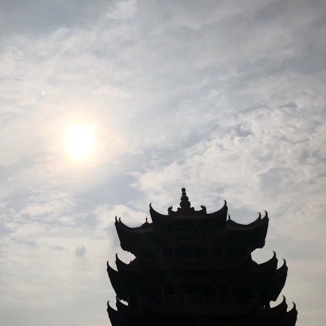 649231 。