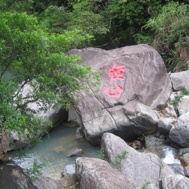 655491 醉春風