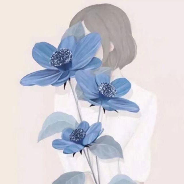 655516 清新