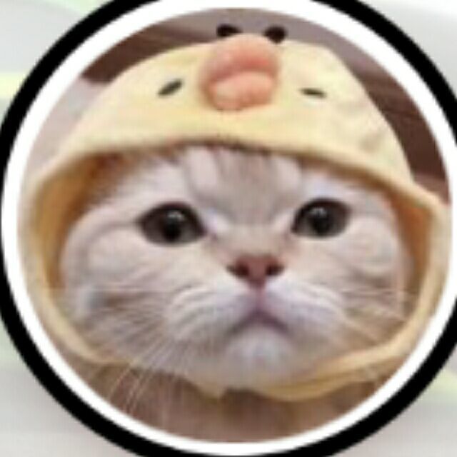 655975 刘苏