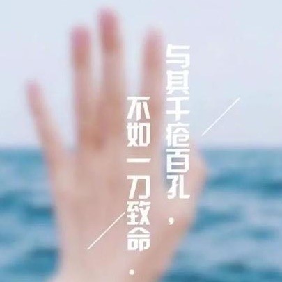 656893 保罗琳