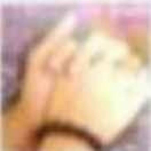 657335 狼影若飘