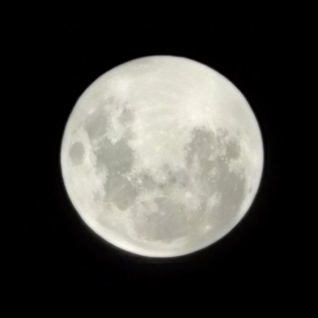 657410 痞子熊