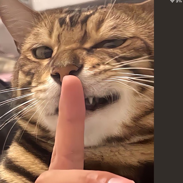 657556 PhoneGor
