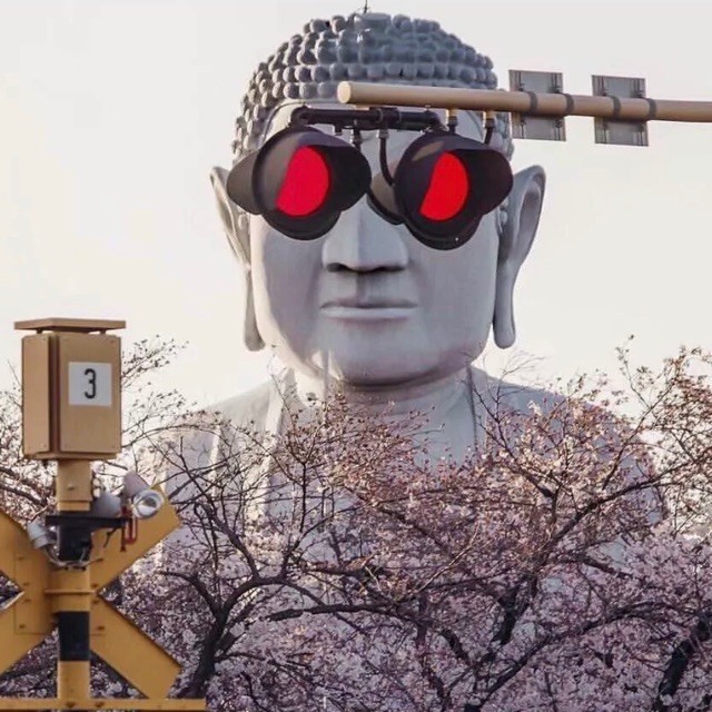 658009 2018