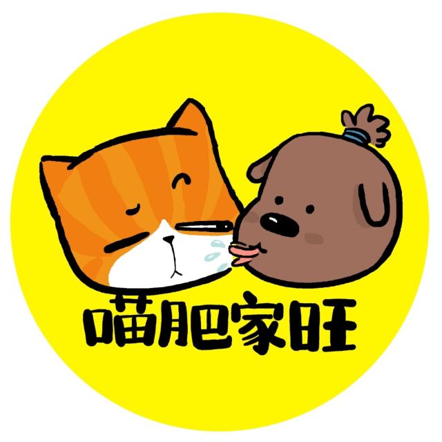 658250 歪理猫粉丝号
