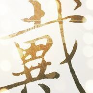 658290 阿戴