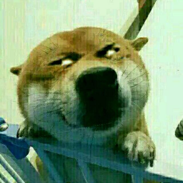 658656 若喜