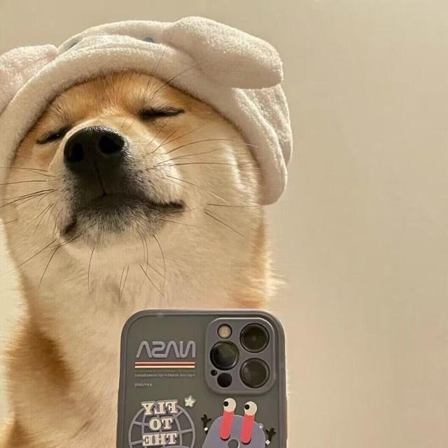 658779 爱妃，打扰了