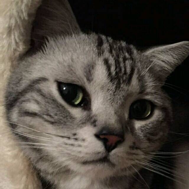 658965 ̶̶̶̶̶̶̶̶̶x.̶̶̶̶̶̶̶̶