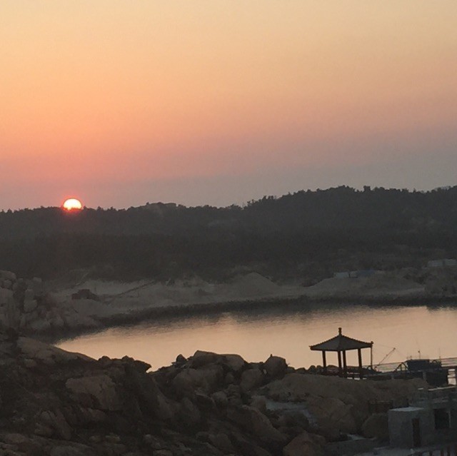 658972 流氓寻根