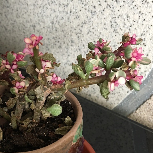 659181 时光无声@，