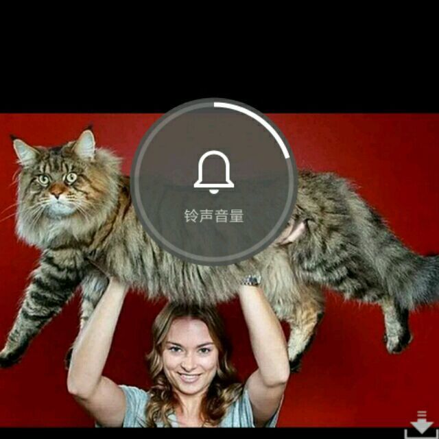 659811 Jerson